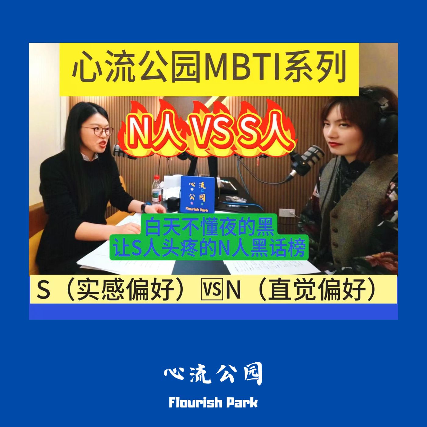 E10 白天不懂夜的黑,S人一听就头疼的N人黑话 E10 白天不懂夜的黑,S人一听就头疼的N人黑话