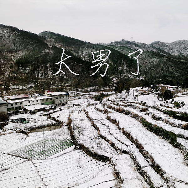太男了｜自我成长 生活观察
