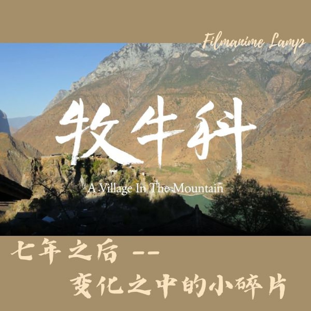 《牧牛科》七年之后 – 变化之中的小碎片