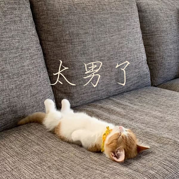 太男了｜自我成长 生活观察