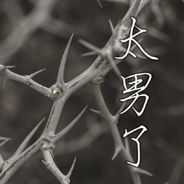 太男了｜自我成长 生活观察