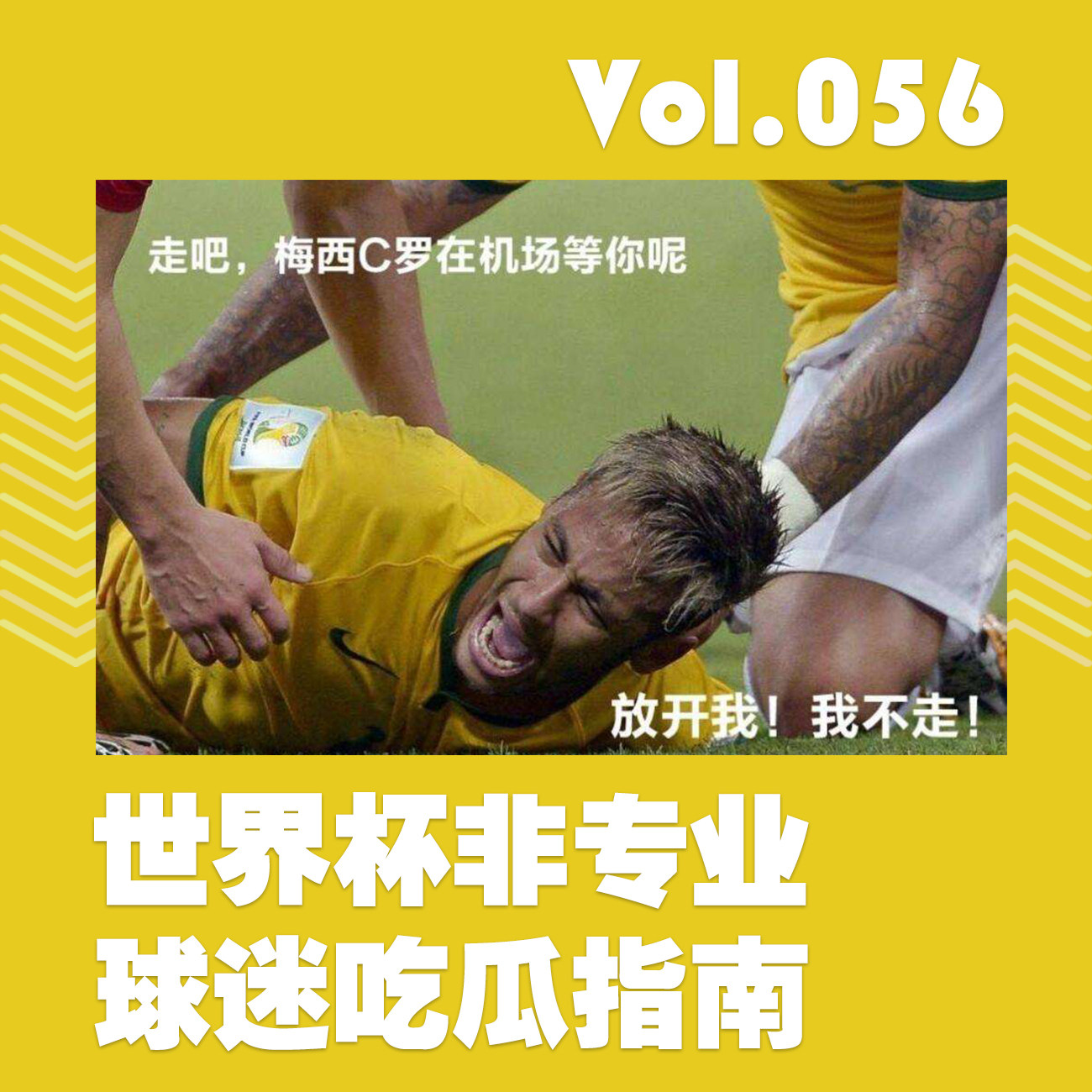 世界杯非专业球迷吃瓜指南 episode artwork