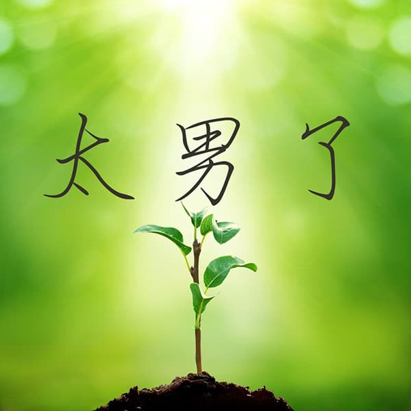 太男了｜自我成长 生活观察