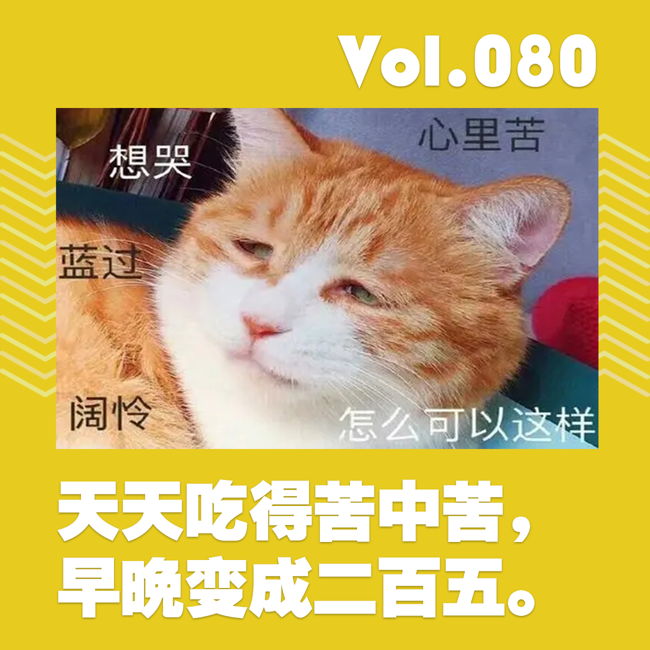 天天吃得苦中苦，早晚变成二百五 episode artwork
