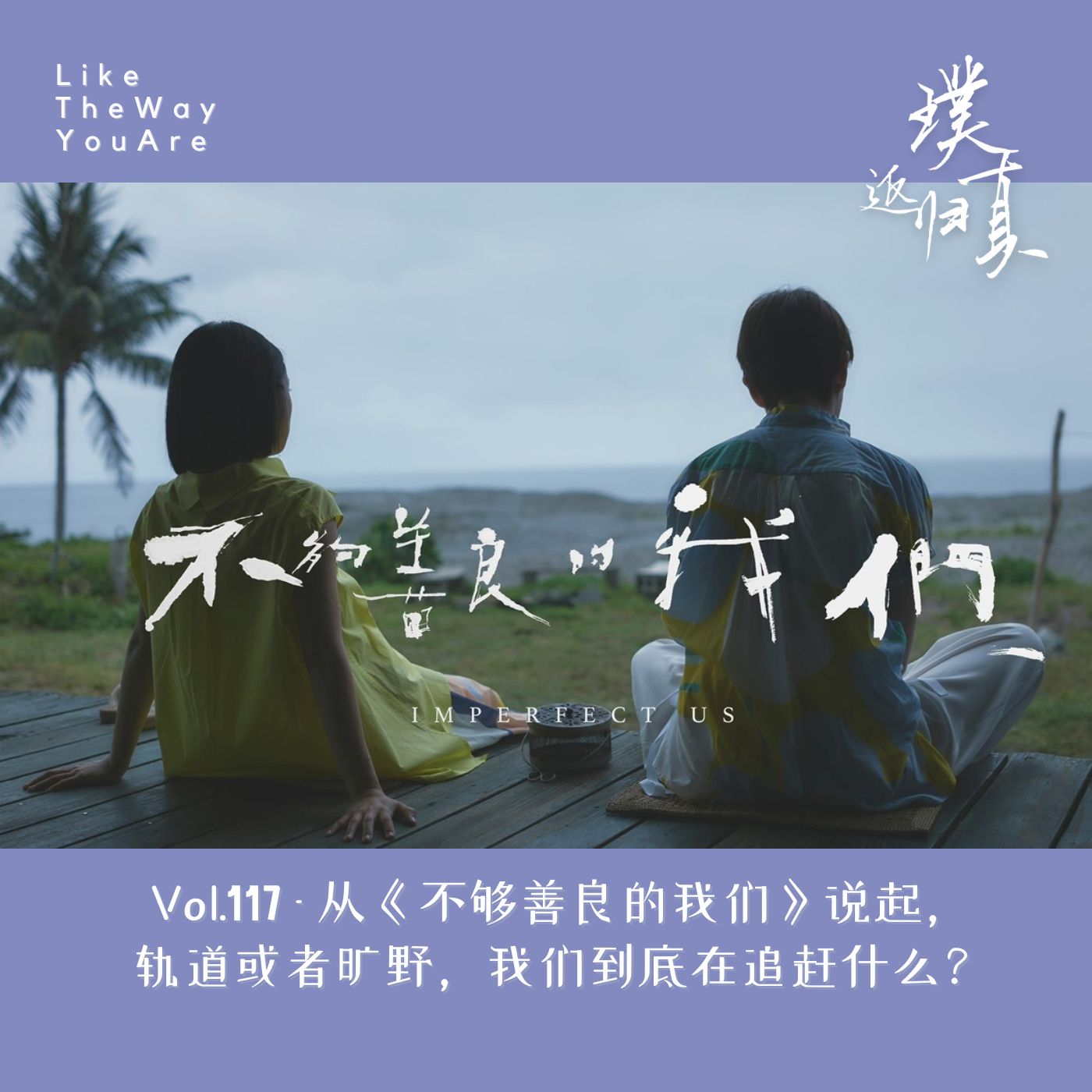 cover of episode 117：从《不够善良的我们》说起，轨道或者旷野，我们到底在追赶什么？￼