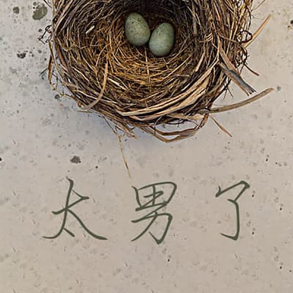 太男了｜自我成长 生活观察