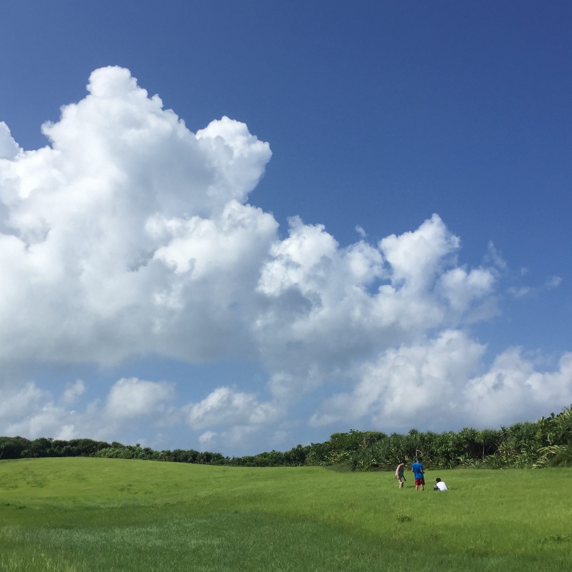 长醉不复醒