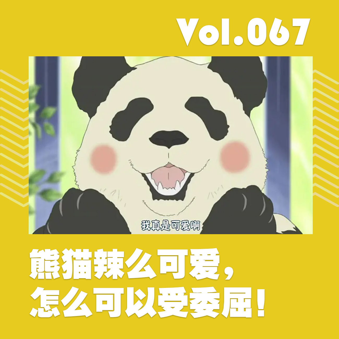 熊猫辣么可爱，怎么可以受委屈！ episode artwork