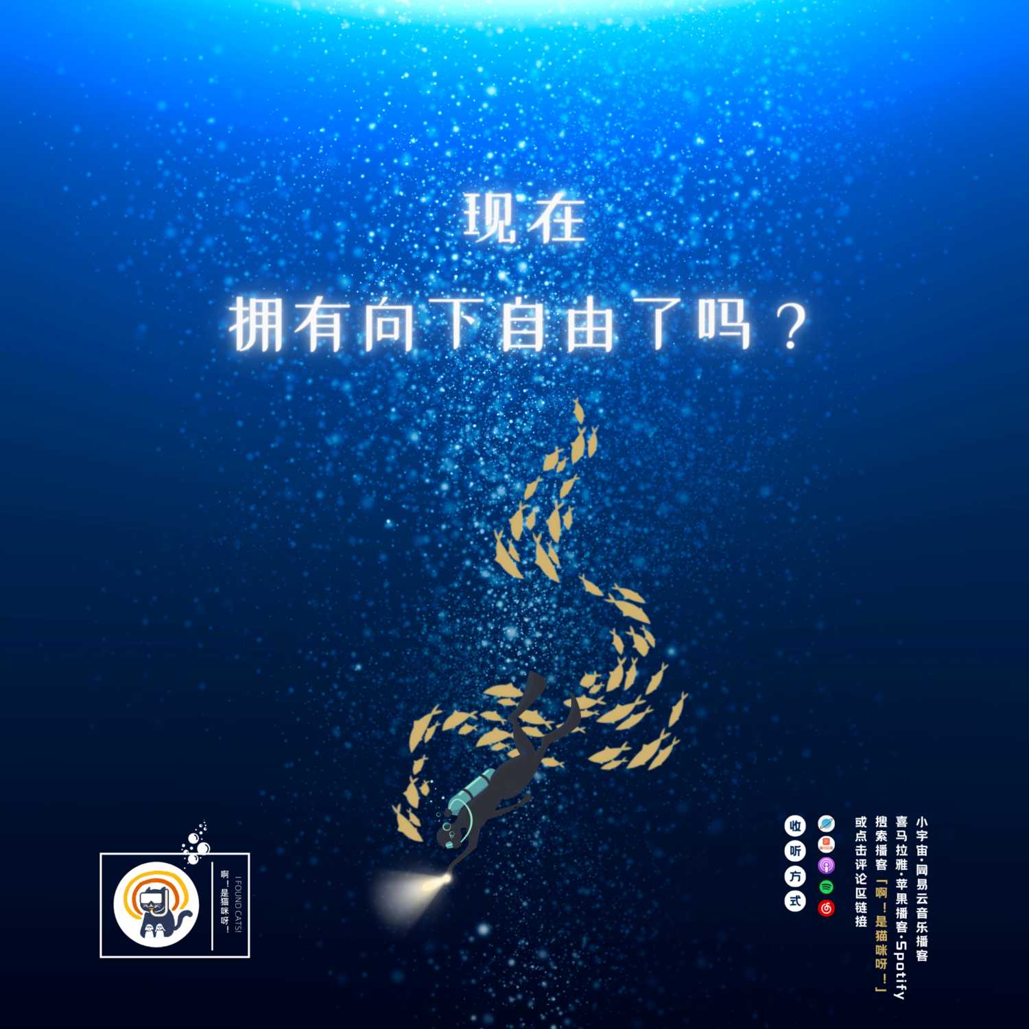 cover of episode S1.E26 写在2022：现在拥有向下自由了吗？|【遥远的相似性】